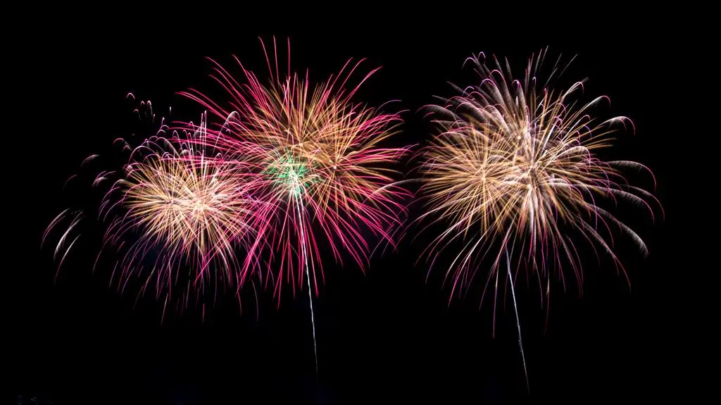Radni zdecydowali. Zakaz używania fajerwerków przez cały rok