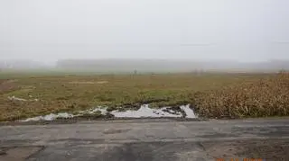 Rolnicy nie mogli wjechać na pola, więc kukurydza nie została zebrana