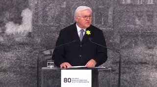 Prezydent Niemiec Frank-Walter Steinmeier