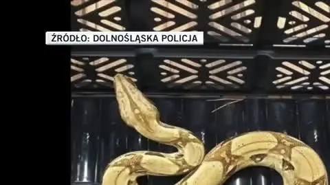 _Dolno_l_ska_policja_1632734939668