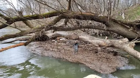 Ciało było uwięzione w podwodnych przeszkodach