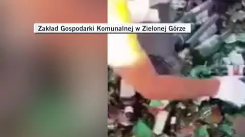 Dla Oli