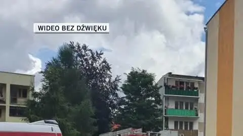 kamienna gora