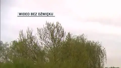 skrzetuszewo ogrywka