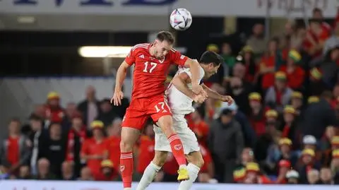 Łokciem w Lewandowskiego. Polacy przekonali się, co znaczy ostra gra