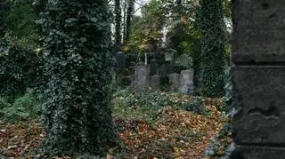 Macewy - pionowe płyty nagrobne