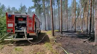 Strażacy walczą z ogniem