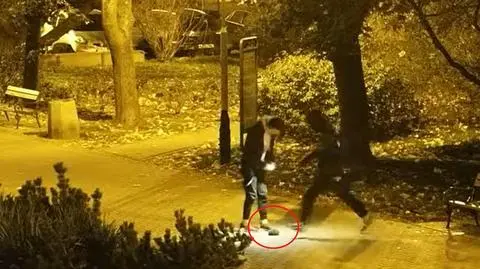 Znęcali się nad jeżem. Dwóch nastolatków zatrzymanych