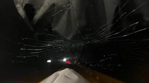 Dziennikarz miał kolizję z łosiem. Na autostradzie A1 była otwarta brama 
