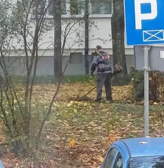 Koszenie liści na łódzkim osiedlu