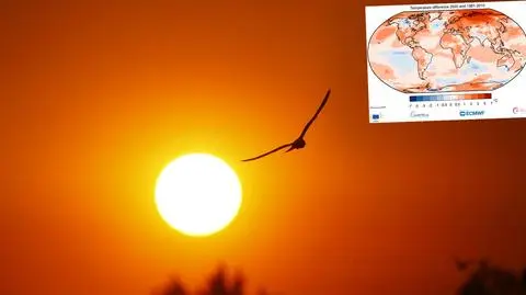 Copernicus: 2020 najcieplejszym rokiem w historii Europy