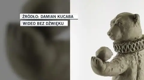 Damian Kucaba