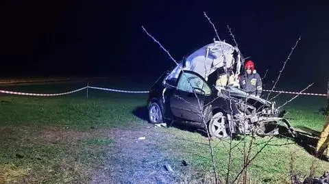 Uderzyli w drzewo, zginęła 17-latka. Za kierownicą siedział 18-latek, prawo jazdy odebrał w grudniu