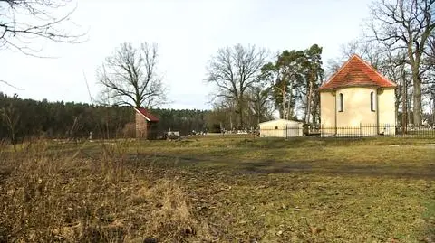 Kobieta została zaatakowała koło cmentarza w Skokach