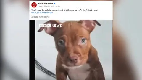 BBC