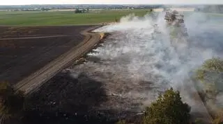 Pożar 90 hektarów pola w powiecie świebodzińskim