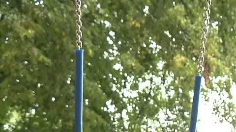 2208N384XR PIS DNZ WILCZYNSKA