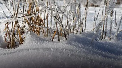 Wyż znad Rosji "może wszystko zmienić". Prognoza na luty