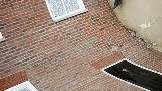 Autor projektu - Alex Chinneck
