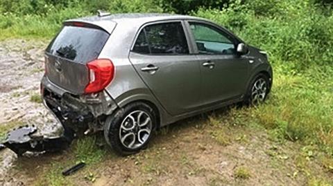 "Chuligan" w Bieszczadach. Głodny niedźwiedź próbował włamać się do auta