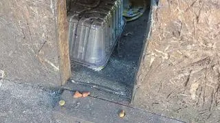 Zniszczone budki dla kotów w Toruniu