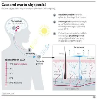 Rola potu dla człowieka