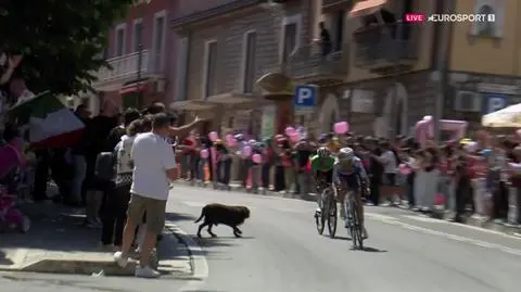 "Nierozsądni kibice". Kumulacja niebezpieczeństw na trasie Giro d'Italia