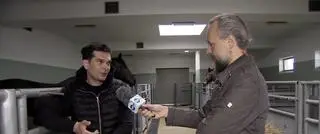 Transport koni sportowych utknął na granicy w Korczowej 