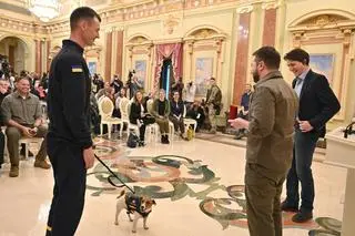 Pies-saper Patron odznaczony przez Wołodymyra Zełenskiego