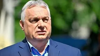 Orban o "nalocie" i skonfiskowanych serwerach. Prokuratura tłumaczy