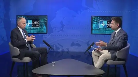Mircea Geoana, zastępca sekretarza generalnego NATO