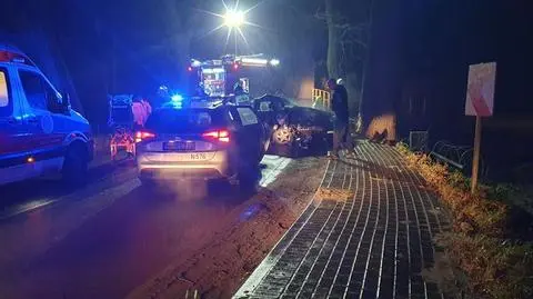 Uciekali policjantom, rozbili się na drzewie