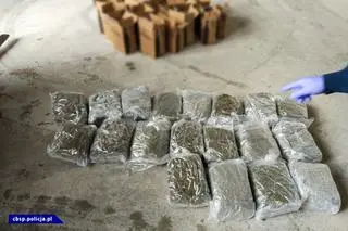 Funkcjonariusze znaleźli 44 kilogramy narkotyku