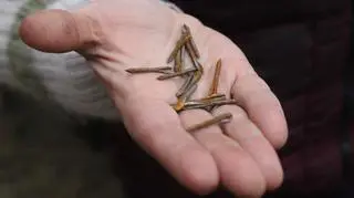 Fleszetki znalezione w Buczy