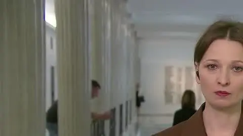 sejm lajf 3