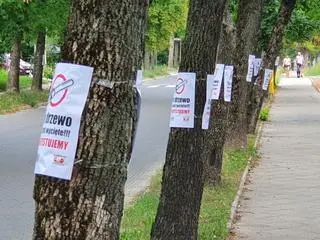 Protest mieszkańców przed planowaną wycinką przy ulicy Karczówkowskiej w Kielcach