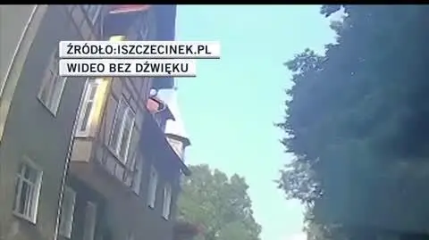 iszczecinek