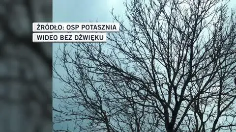 OSP Potasznia 