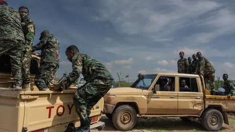 Somalijskie siły rządowe