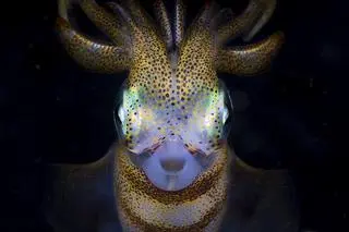 Matty Smith, trzecie miejsce w kategorii Exploration Photographer of the Year 2021
