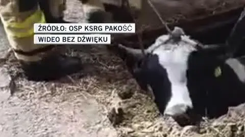 OSP KSRG Pakość