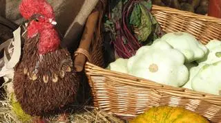 Łosoś w pomidorowym farszu, komosa ryżowa z warzywami i naleśniki orkiszowe. Do tego kozie sery, wędliny i przyprawy. Wszystko z ekologicznych i zdrowych produktów. W ramach Eco Day 2012 na placu Solnym powstał Jarmark Ekologiczny.