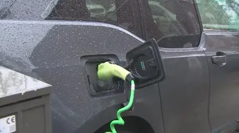 Electric cars still unpopular in Poland