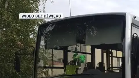slajdszoł dla Oli
