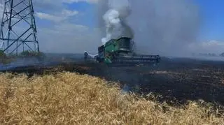 Strażacy walczą z pożarem na polu w obwodzie mikołajowskim  