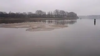 Na jeziorze Maltańskim pojawiają się już pierwsze wysepki