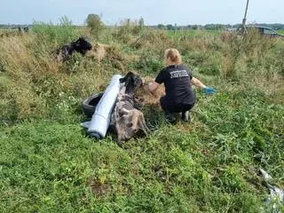 Akcja ratunkowa była kontynuowana w sobotę