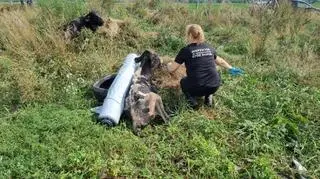 Akcja ratunkowa trwała kilkadziesiąt godzin
