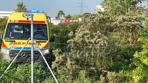 Pieszy wbiegł na A2 pod nadjeżdżające auta, potem uciekł. Znaleźli go 800 metrów dalej 