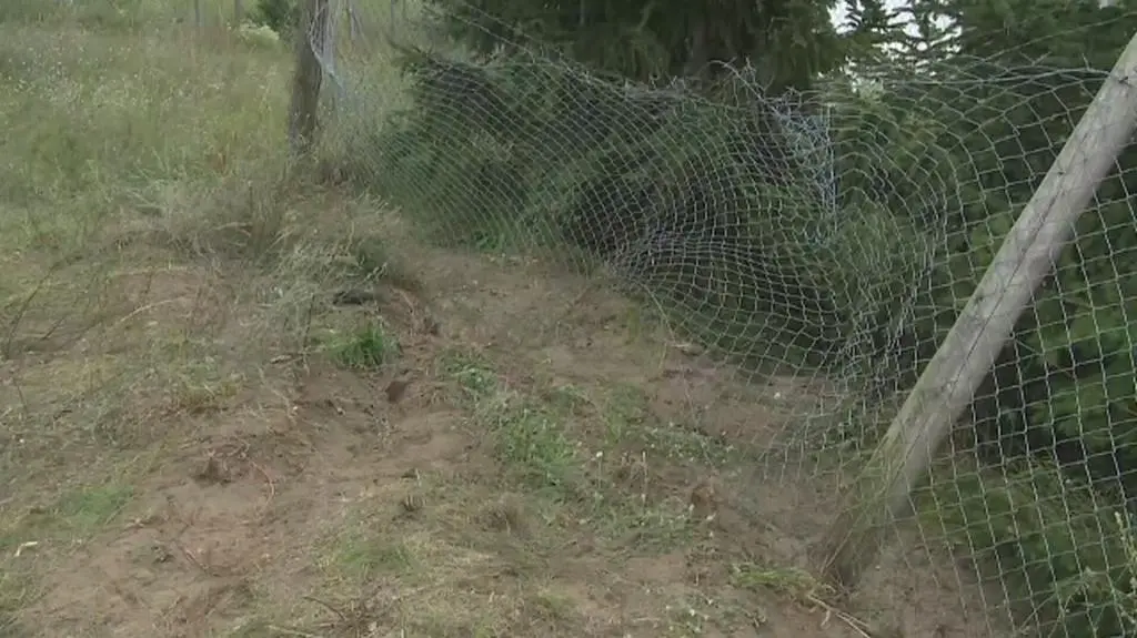 Interwencja policyjna z tragicznym finałem 